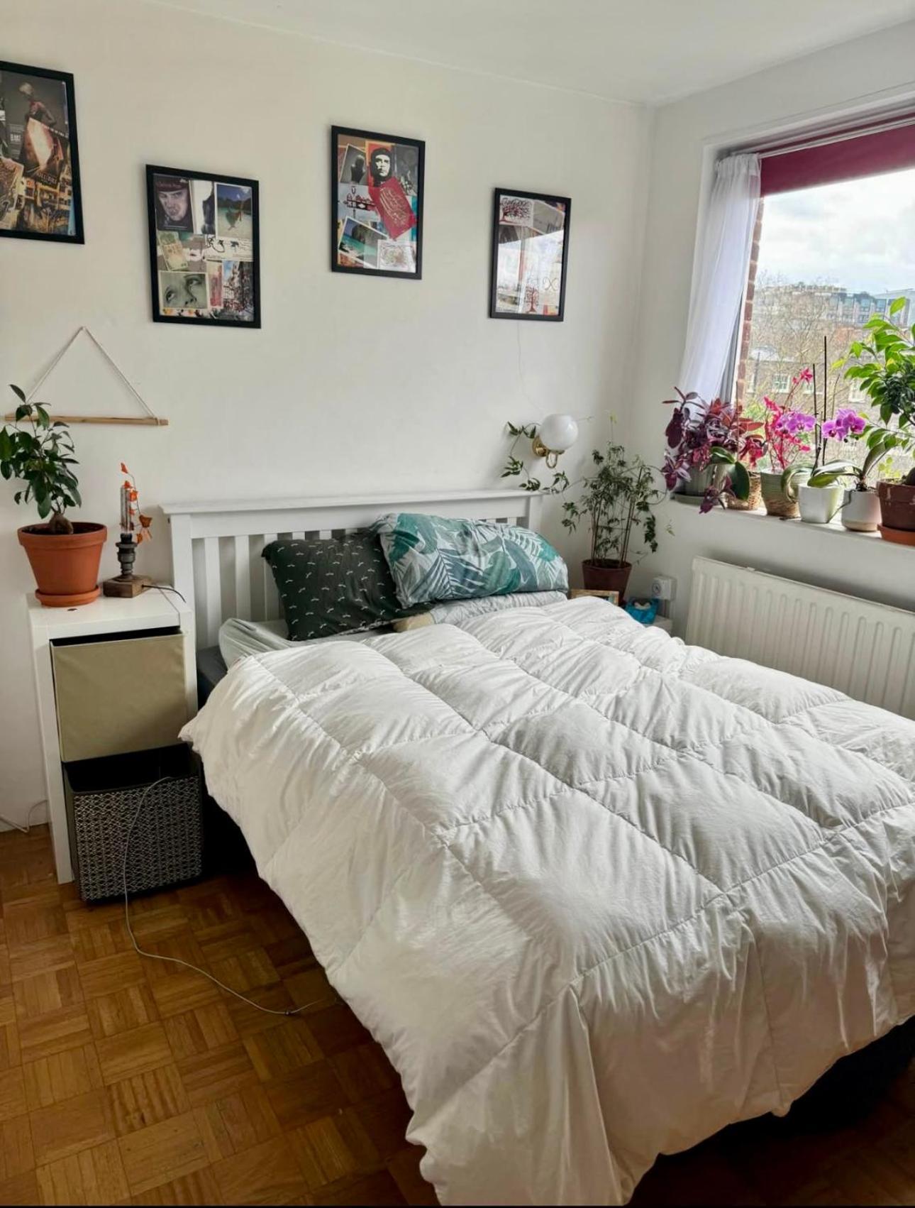 Quiet Cosy Flat In Amazing Location