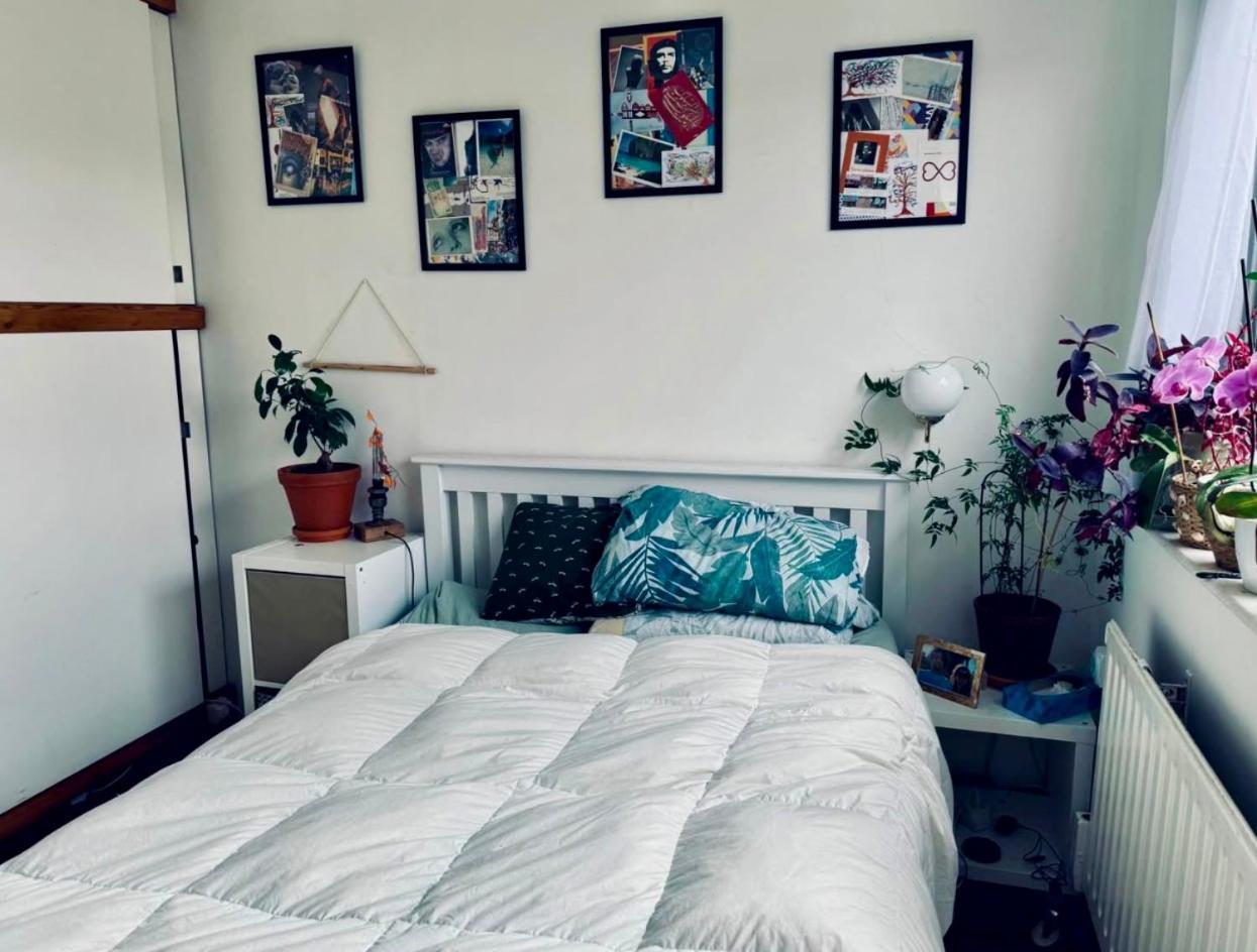 Quiet Cosy Flat In Amazing Location * Londra